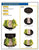 Full Set of All Build Chart Sets